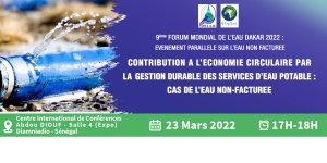 Suivez l&#039;AAE au cours du 9ème Forum Mondial de l&#039;Eau Dakar 2022