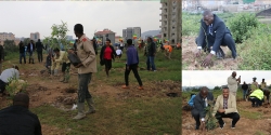 82ND MEETING OF THE SCIENTIFIC AND TECHNICAL COUNCIL: AFWA DELEGATES PLANT TREES IN ETHIOPIA