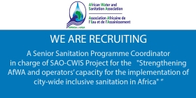 Recruitment notice of a Senior Sanitation Program Coordinator in Charge of the SAO-CWIS Project